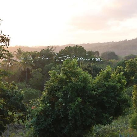 Sumba Nautil Resort Deke Eksteriør bilde