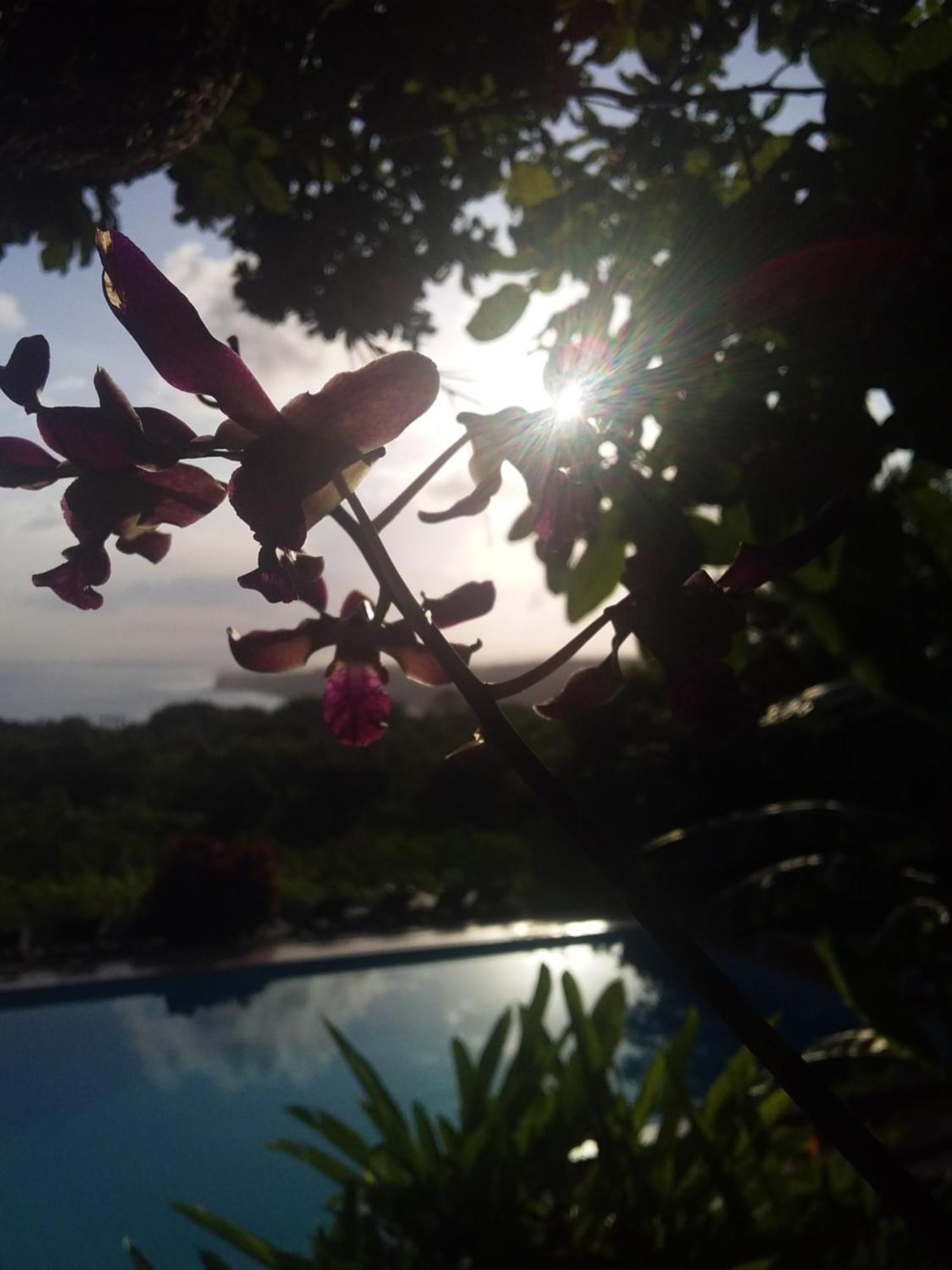 Sumba Nautil Resort Deke Eksteriør bilde